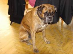 Resize of DSC06280.JPG